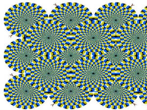 optical_illusion1.jpg