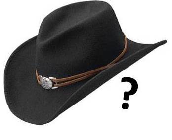 CowboyhatMaybe.jpg